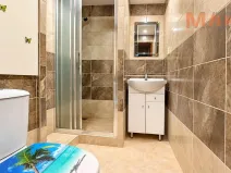 Pronájem bytu 2+1, Chomutov, Borová, 60 m2