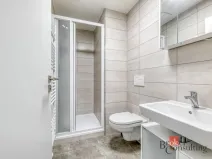 Pronájem bytu 1+kk, Plzeň - Jižní Předměstí, Boettingerova, 36 m2