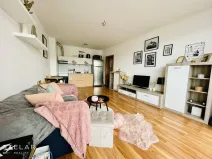 Pronájem bytu 2+kk, Opava, Hálkova, 61 m2