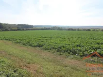 Prodej pozemku pro bydlení, Chotětov, 2109 m2