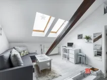 Pronájem bytu 1+kk, Praha - Nové Město, Vladislavova, 26 m2