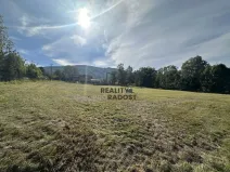 Prodej pozemku pro bydlení, Třinec, 3052 m2