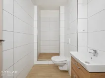Prodej bytu 2+1, Ostrava - Přívoz, Chopinova, 57 m2