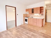 Pronájem bytu 1+1, Písek - Budějovické Předměstí, třída Přátelství, 38 m2