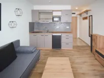 Pronájem bytu 1+kk, Úněšov, 20 m2