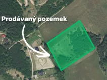 Prodej pozemku, Bechlín - Předonín, 15382 m2