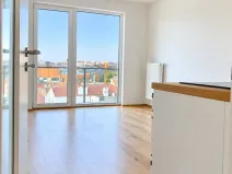 Pronájem bytu 2+kk, Plzeň - Jižní Předměstí, Poděbradova, 46 m2