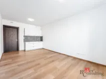Pronájem bytu 1+kk, Olomouc - Nová Ulice, Třída Jiřího Pelikána, 31 m2