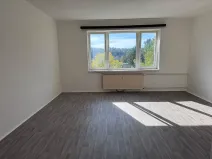 Prodej bytu 1+kk, Zruč nad Sázavou, Mládeže, 33 m2