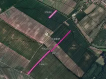 Prodej pole, Nový Poddvorov, 13951 m2