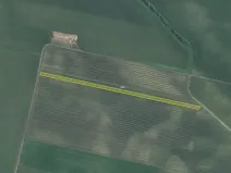 Prodej sadu/vinice, Terezín, 5465 m2