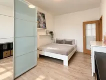Pronájem bytu 1+1, Praha - Vršovice, Sportovní, 38 m2