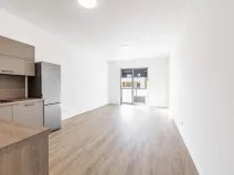 Prodej bytu 1+kk, České Budějovice, U Branišovského lesa, 46 m2