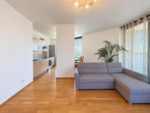 Pronájem bytu 3+kk, Praha - Žižkov, Malešická, 88 m2