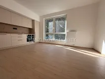 Pronájem bytu 2+kk, České Budějovice, Hálkova, 36 m2