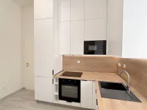 Pronájem bytu 1+1, Olomouc, Dobrovského, 47 m2