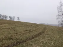 Prodej pole, Zvěstov - Bořkovice, 9983 m2