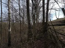 Prodej lesa, Rokytnice v Orlických horách, 3079 m2