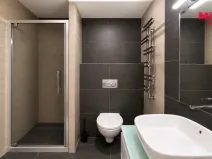 Prodej bytu 1+kk, Karlovy Vary - Drahovice, Mattoniho nábřeží, 45 m2