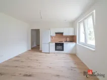 Prodej bytu 2+kk, Ostrava - Mariánské Hory, Cottonové, 37 m2