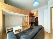 Pronájem bytu 1+kk, Plzeň, Rubešova, 25 m2