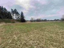 Dražba louky, Peč, 670 m2