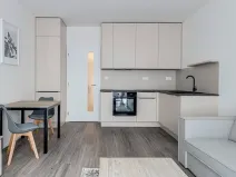 Pronájem bytu 1+kk, Praha - Karlín, Pernerova, 30 m2