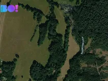 Prodej pole, Přimda, 1600 m2