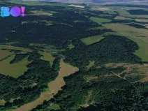 Prodej pole, Přimda, 1600 m2