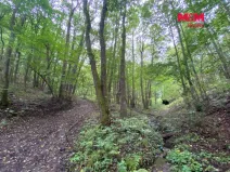 Prodej lesa, Strážná, 1204 m2