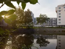 Pronájem bytu 1+kk, České Budějovice - České Budějovice 2, Volejbalistů, 30 m2
