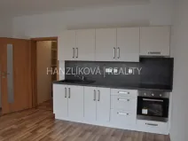 Pronájem bytu 1+kk, České Budějovice - České Budějovice 2, Volejbalistů, 30 m2