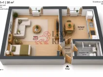 Prodej bytu 1+1, Staré Město, Velehradská, 30 m2
