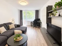 Prodej bytu 3+1, Ústí nad Labem - Severní Terasa, Ořechová, 65 m2