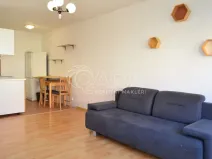 Prodej bytu 2+kk, Mladá Boleslav - Mladá Boleslav II, 17. listopadu, 42 m2