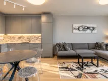 Pronájem bytu 2+kk, Praha - Holešovice, Jankovcova, 60 m2