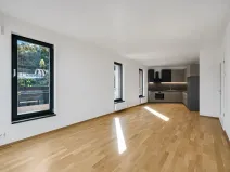 Pronájem bytu 2+kk, Praha - Karlín, Švarcova, 51 m2