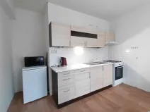 Pronájem bytu 1+1, Mladá Boleslav, U stadionu, 42 m2