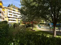 Pronájem bytu 2+kk, Brno - Žabovřesky, Sochorova, 53 m2