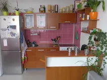 Pronájem bytu 2+kk, Liberec, Halasova, 43 m2