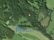 Prodej lesa, Trutnov - Babí, 44299 m2