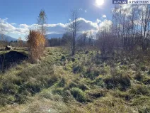 Prodej pozemku pro bydlení, Frýdlant nad Ostravicí, Havlíčkova, 6279 m2