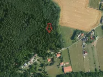 Prodej lesa, Doubek, 15479 m2