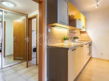 Pronájem bytu 1+kk, Dolní Břežany, Ke Kapličce, 30 m2