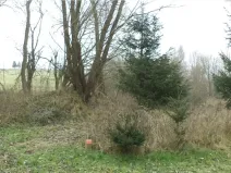 Dražba pozemku, Horní Planá, 1390 m2
