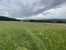 Dražba louky, Korytná, 7545 m2