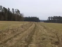 Dražba pozemku, Lom u Tachova, 3739 m2