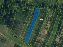 Dražba lesa, Chotěbudice, 4302 m2