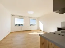 Pronájem bytu 1+kk, Planá, Bohušova, 31 m2