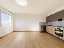Pronájem bytu 1+kk, Planá, Bohušova, 31 m2